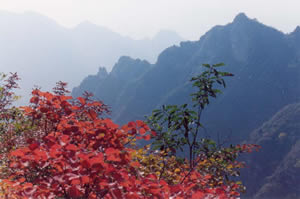 云蒙山
